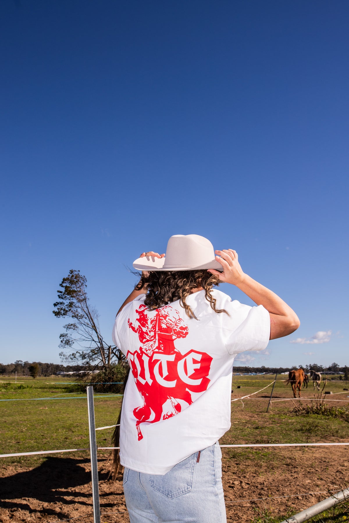 HOLD YOUR HORSES